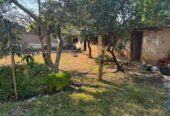 Four bedroomed House