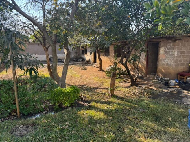 Four bedroomed House