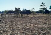 3 Acres in Makeni sangalala for sale off 70/70 road