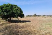 3 Acres in Makeni sangalala for sale off 70/70 road